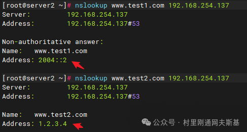 dns1