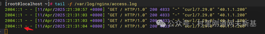 dns3