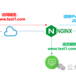 快速搭建私有化DNS服务器，并与Nginx完美合作打通IPv4&IPv6双栈网络-云欣小站