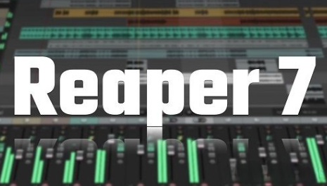 【宿主】Cockos – REAPER 7.43 Portable (E) x86 x64-云欣小站
