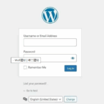 自定义WordPress后台登录页面样式，2种方法自定义Login Page-云欣小站