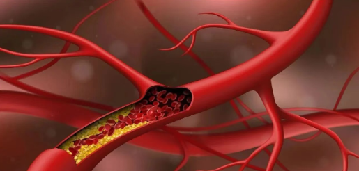 20251109135253373-image