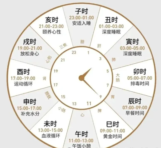 20251109140545370-image